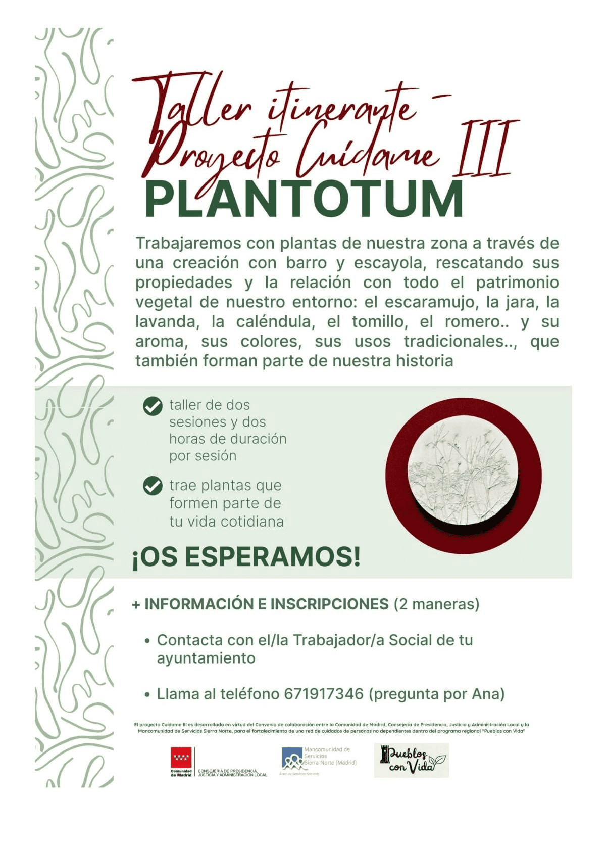 Proyecto Cuidame PLANTOTUM1